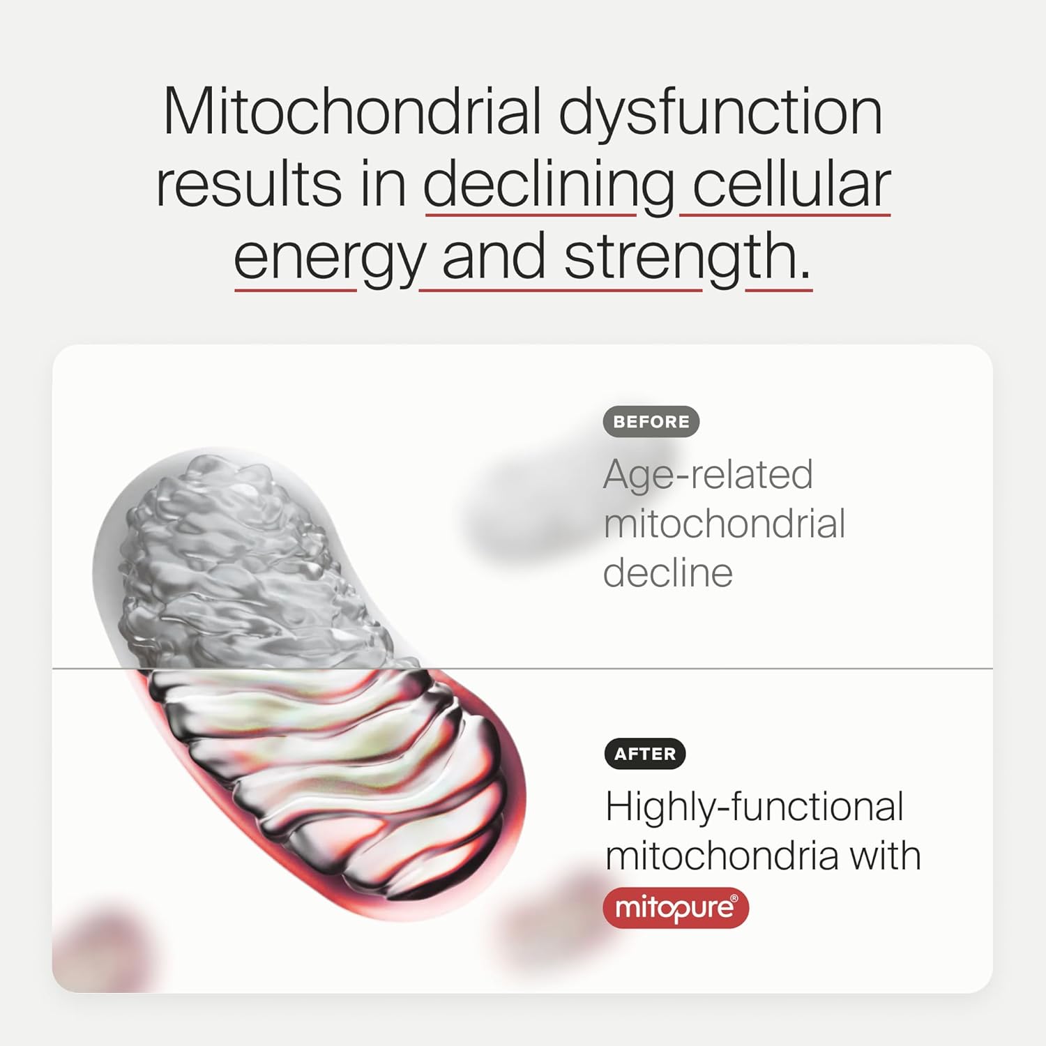 Timeline Mitopure Urolithin A Longevity Supplement 60 Count Softgels - Clearance Sale